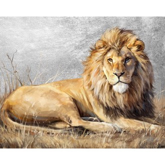 Canvas Oil Laying Lion 80x100cm Canvas Oil Laying Lion 80x100cm