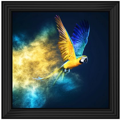 Flying Ara Parrot Flying Ara Parrot