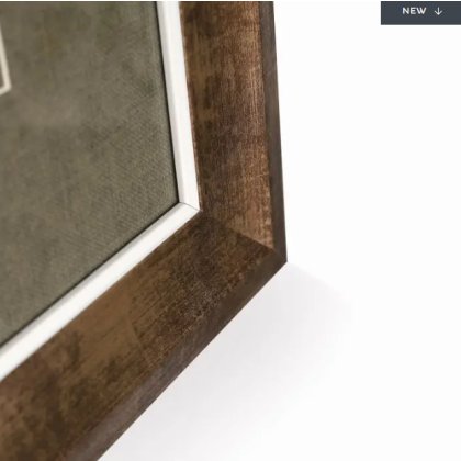 Dapper Highlander Dapper Highlander