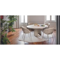 Anime Dining Chair (CS2210) by Calligaris