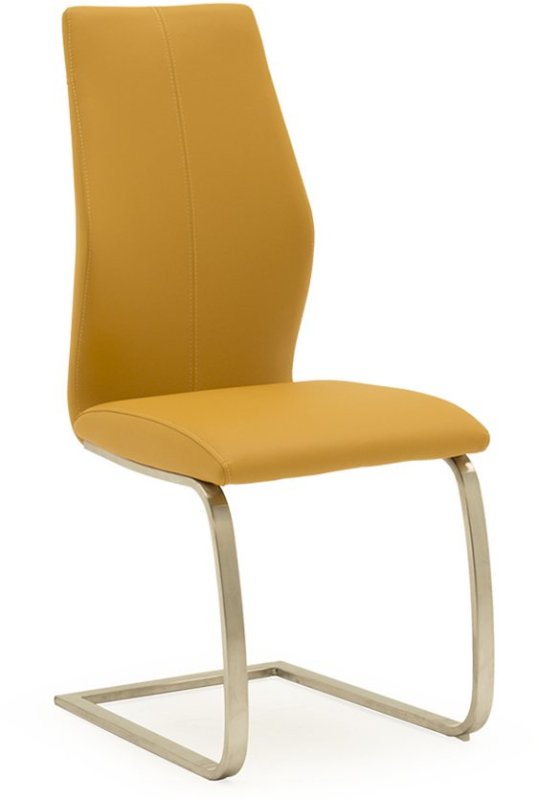 Irma Dining Chair (Pumpkin & Brushed Steel)