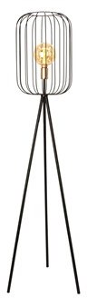 Cage Floor Lamp 151cms Cage Floor Lamp 151cms