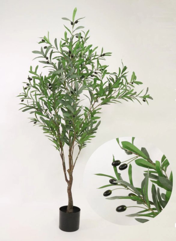 150cm Olive Tree 150cm Olive Tree