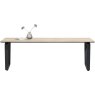 Livada 250 x 100cm Dining Table by Habufa