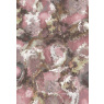 Galleria Rug 160 x 230 Galleria Rug 160 x 230