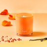 Kindred Bergamot Berry Vanilla Candle Kindred Bergamot Berry Vanilla Candle