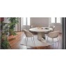 Anime Dining Chair (CS2210) by Calligaris Anime Dining Chair (CS2210) by Calligaris